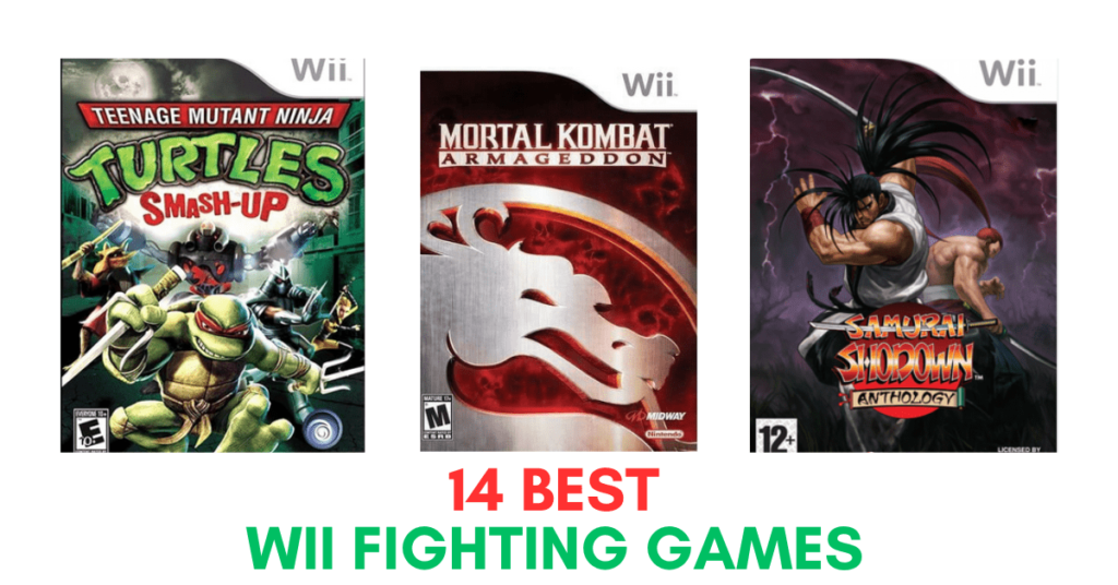 Wii Fighting Games